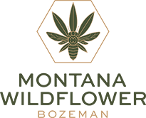 Montana Wild Flower