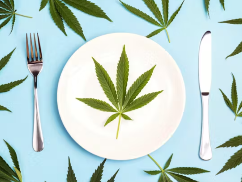 The best cannabis products for Dry January 2025